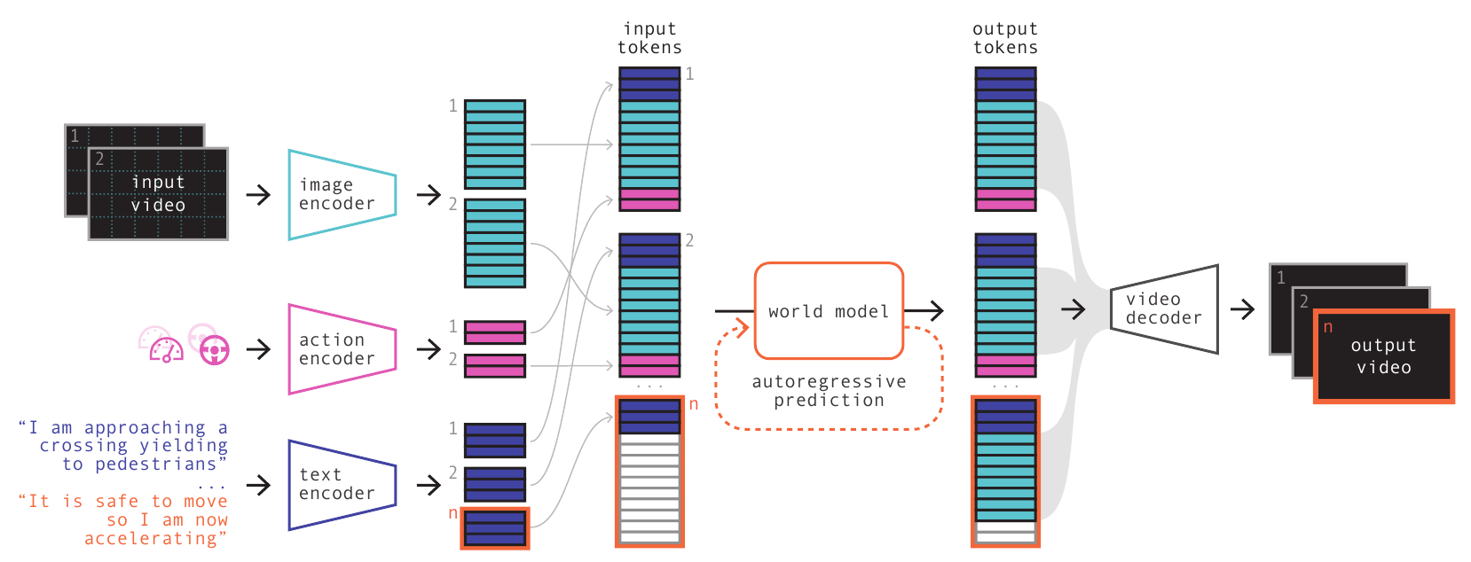 Image, action and text encoders feed interleaved token groups into an autoregressive world model; predicted image tokens then pass to a video decoder.