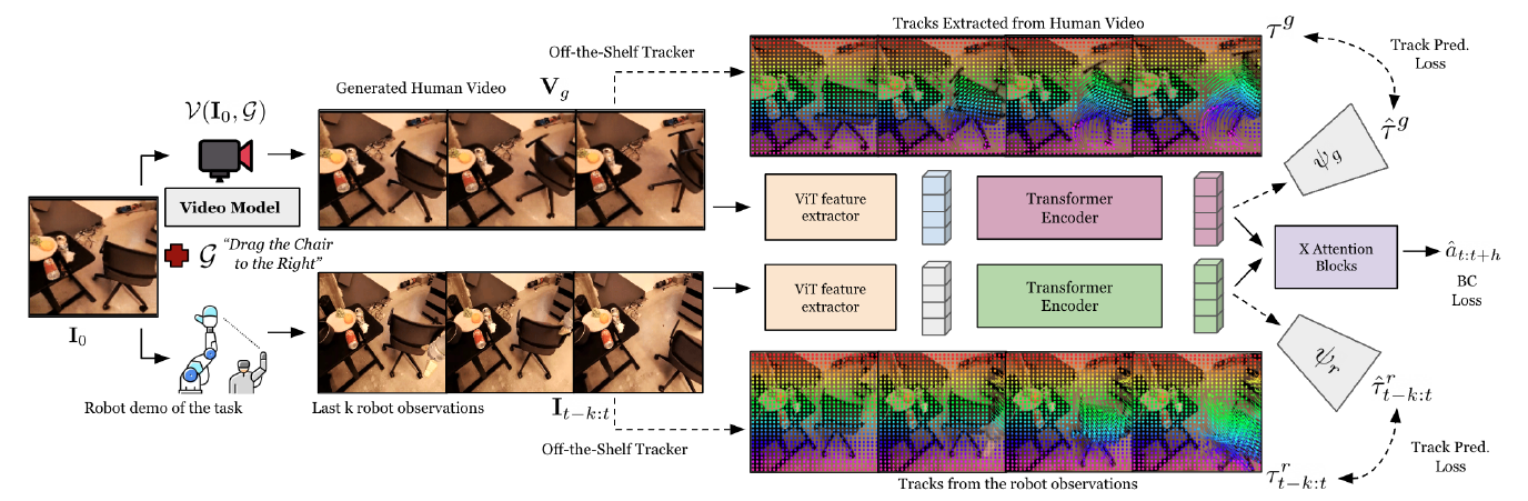 A scene image and task prompt feed a video model. Generated human frames and robot observation frames enter separate visual encoders, then a cross-attention action head. Dotted branches connect both streams to auxiliary point-track predictors.