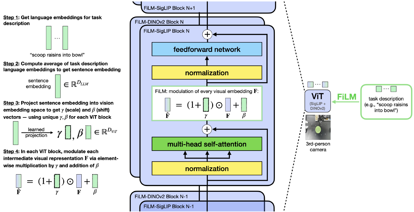 FiLM diagram averages task-language embeddings, projects them to gamma and beta, and modulates visual features between self-attention and feedforward processing in SigLIP and DINOv2 blocks.