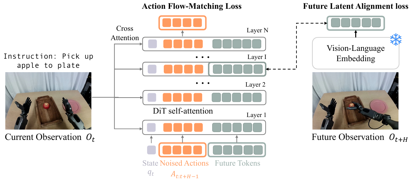 State, orange action tokens and green future tokens share DiT layers; current observations enter cross-attention, and future observation embeddings supply a separate alignment target.
