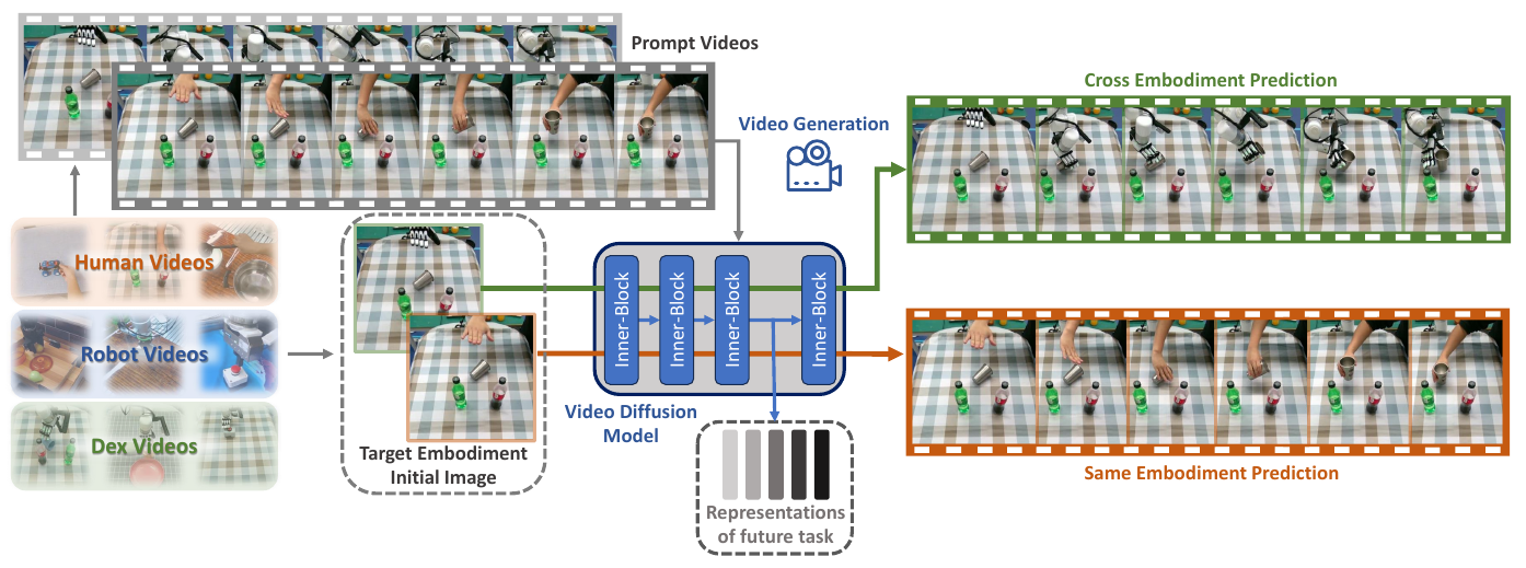 Human, gripper and dexterous-hand videos supply prompts and target initial images to a video model; green and orange branches illustrate cross- and same-embodiment predictions, with internal features extracted below.