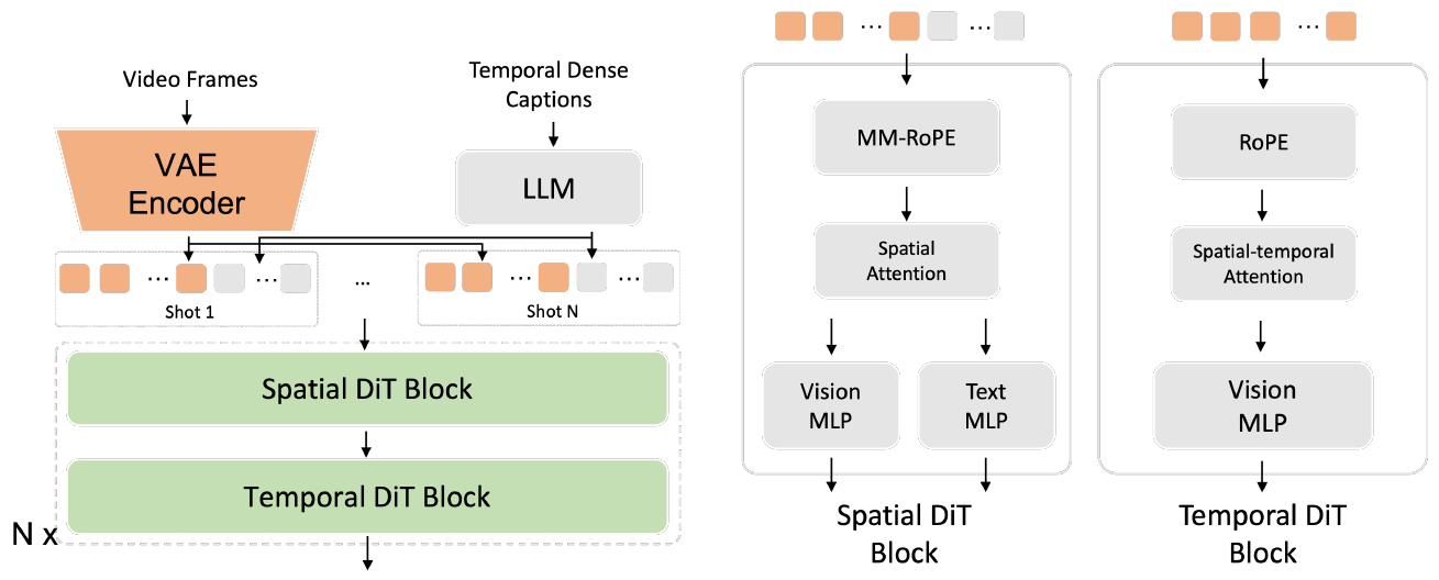 Video frames enter a VAE and dense captions enter an LLM; interleaved shot tokens pass through alternating spatial and temporal DiT blocks. Enlarged blocks show text and vision branches only in the spatial block.