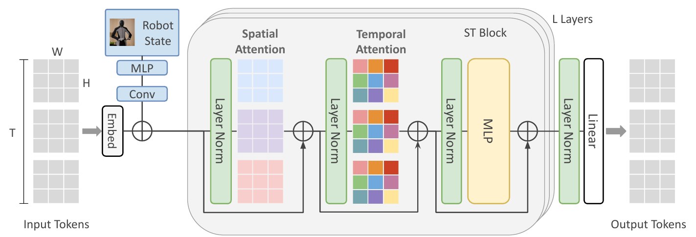 Token grids and convolved robot-state embeddings combine before repeated spatial-attention, temporal-attention and MLP blocks, followed by LayerNorm and a linear token-output head.