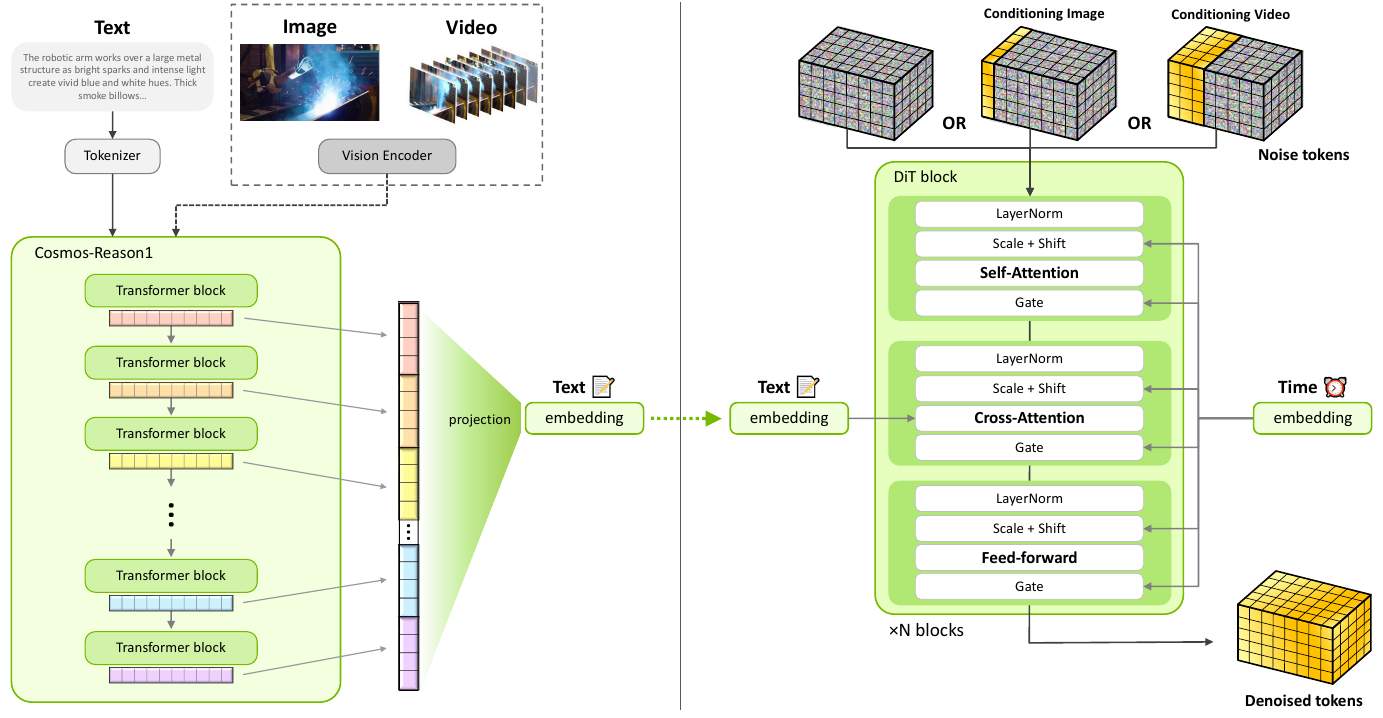Cosmos-Reason1 layer features feed a projection and text embedding, which enters DiT cross-attention. Noise or prefix-conditioned video tokens enter from above; timestep embeddings modulate scale, shift and gates. A dashed vision branch is also drawn.