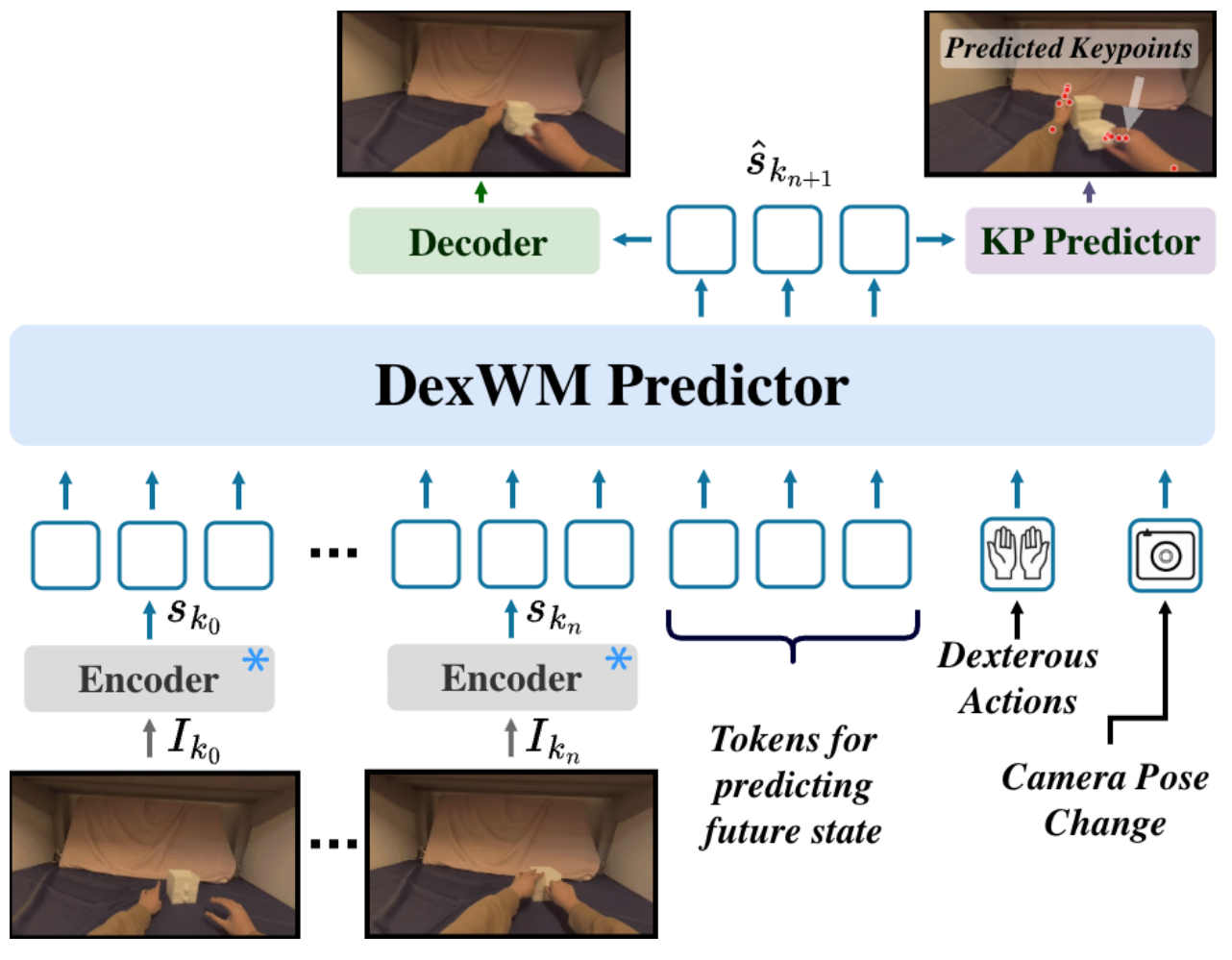 Observed images pass through frozen encoders into latent history tokens. Future tokens, dexterous actions and camera motion enter the DexWM predictor; predicted features branch to an image decoder and a keypoint predictor.