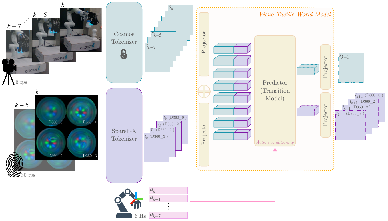 Exocentric images pass through a locked Cosmos tokenizer, four tactile images through Sparsh-X, and projected blue and purple tokens enter an action-conditioned transition predictor with separate visual and tactile outputs.