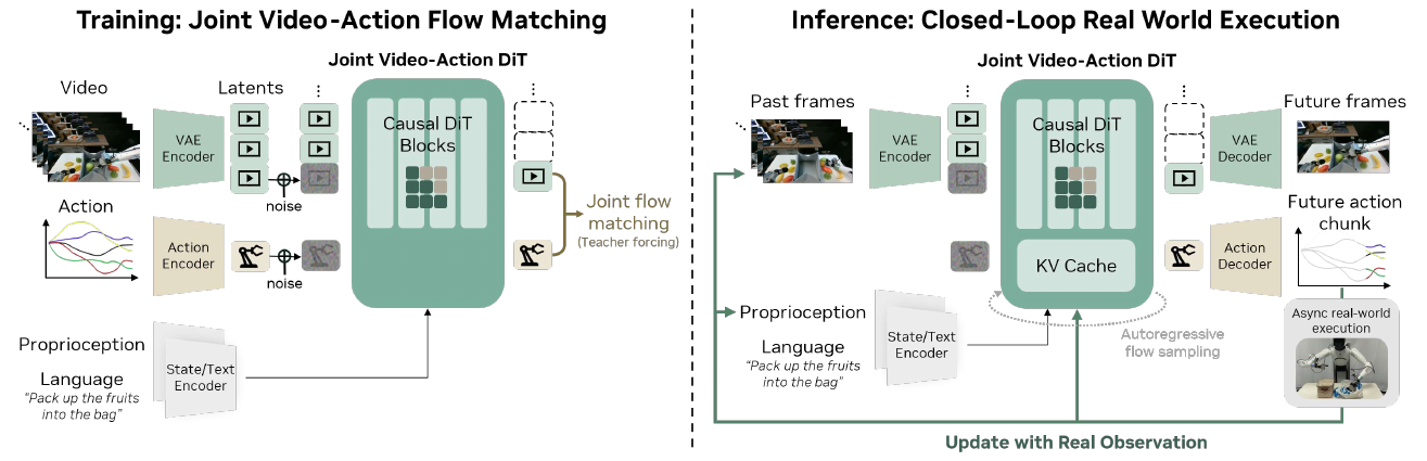 Training and inference diagrams share a causal video-action transformer; a green feedback path returns real robot observations to its KV cache.
