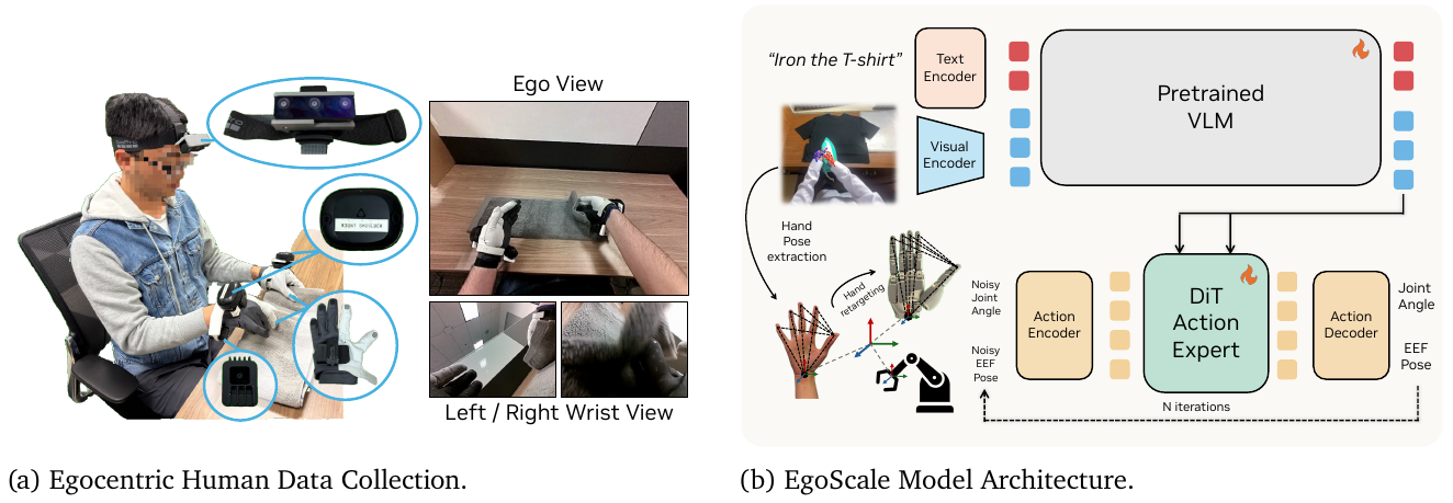 Matched head and wrist cameras for human capture beside a diagram connecting text and visual encoders, a pretrained VLM, noisy actions, a DiT expert and an action decoder.