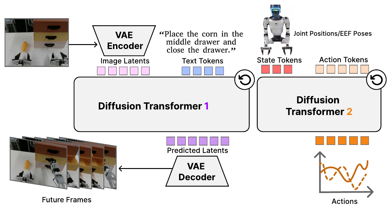 An observation enters a VAE encoder and video transformer with instruction tokens; a second transformer receives state and action tokens. Separate lower outputs show decoded future frames and action trajectories.