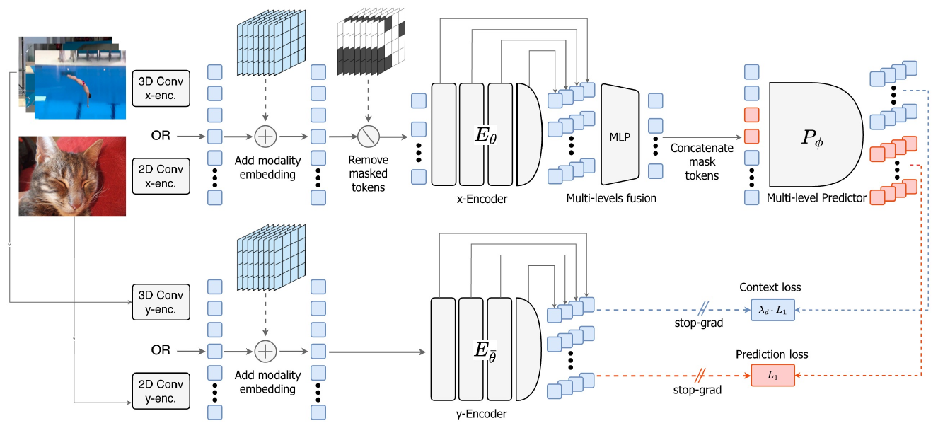 A two-branch JEPA diagram with image/video patchifiers, a masked context encoder, multi-level fusion and predictor above, and an unmasked EMA target encoder below. Blue context and orange masked predictions meet separate L1 losses through stopped-gradient target paths.
