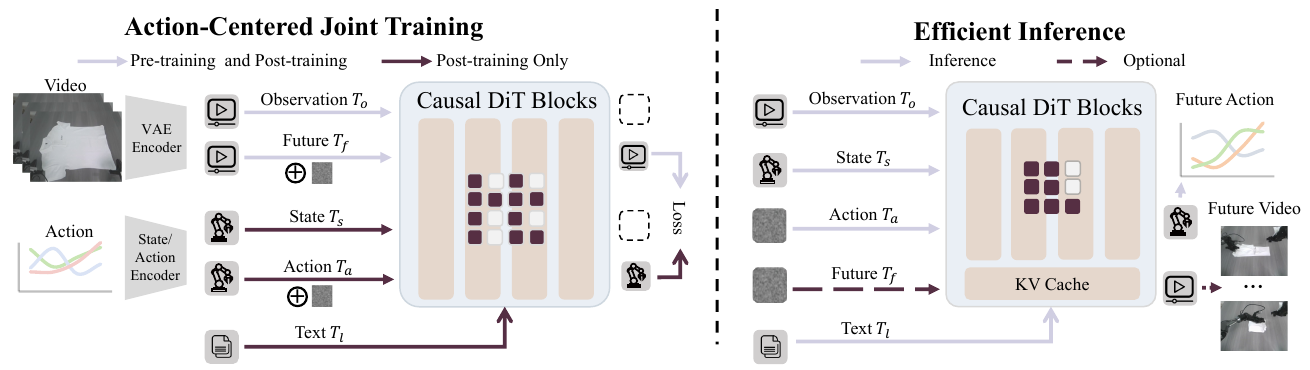 Two panels show joint video/action training through causal DiT blocks and inference with an optional future-video stream and KV cache.