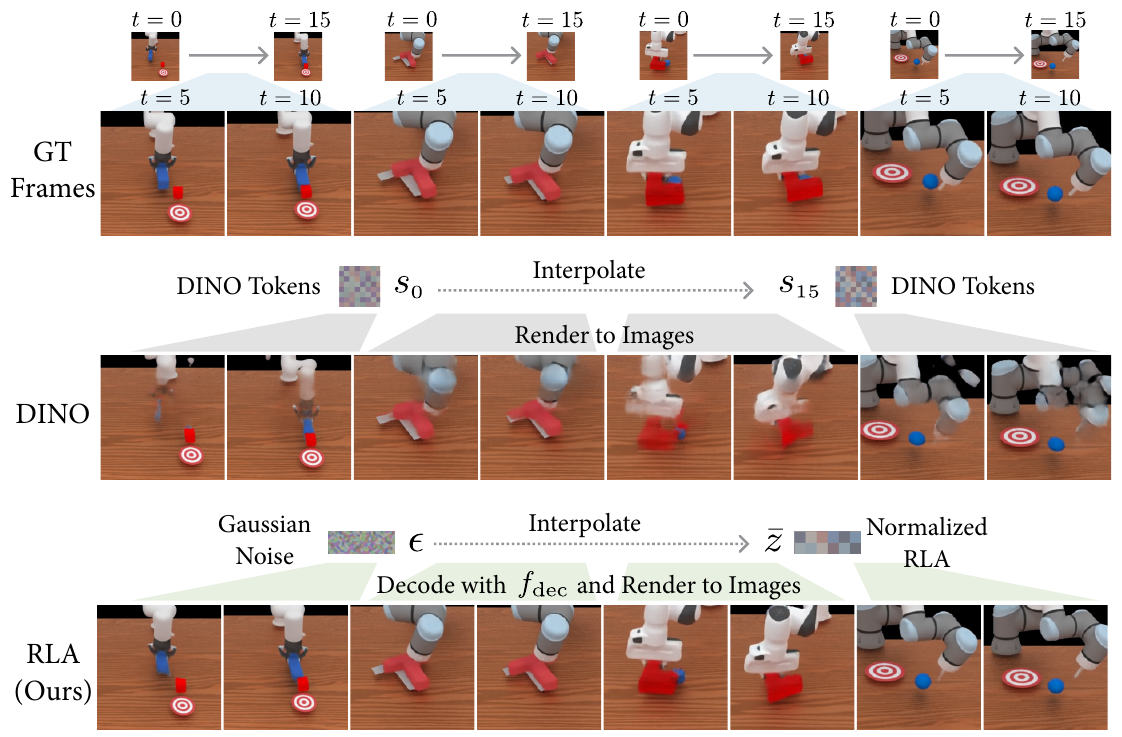 Four frame-pair examples compare real intermediate frames with direct DINO interpolation and noise-to-normalized-RLA interpolation; the RLA row shows more coherent intermediate configurations.