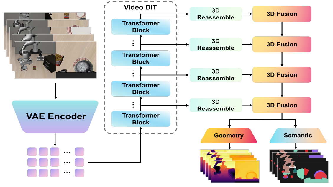 VAE tokens enter the bottom of a Video DiT stack; intermediate features branch into four 3D reassemble modules and a downward fusion cascade ending in geometry and semantic outputs.