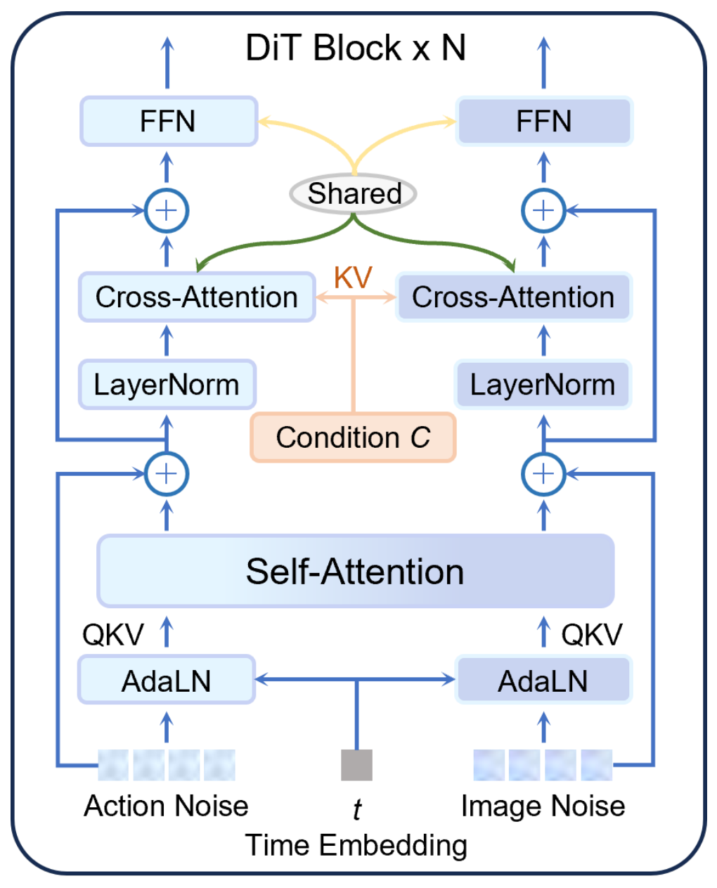 Two upward action and image token paths share one self-attention block, then attend to condition C with shared cross-attention and feed-forward weights.