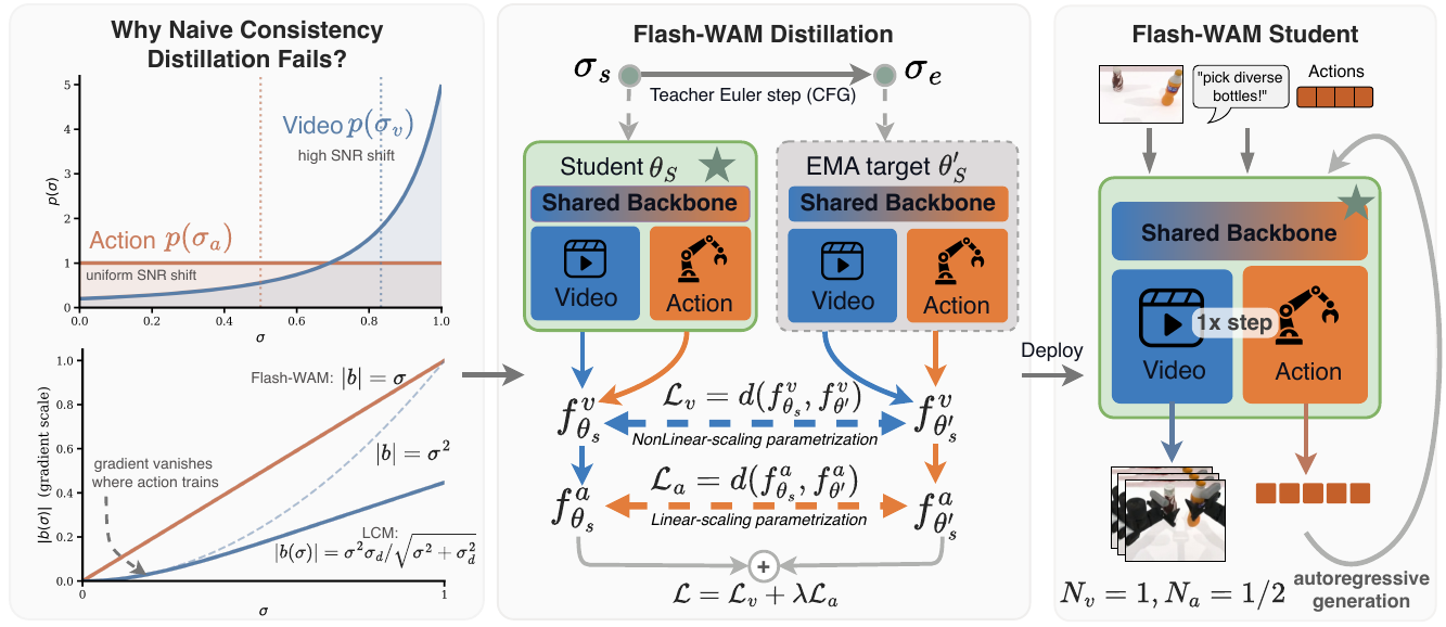 Three panels show different video/action noise distributions, student and EMA-target consistency losses, and a shared-backbone student generating video and actions.