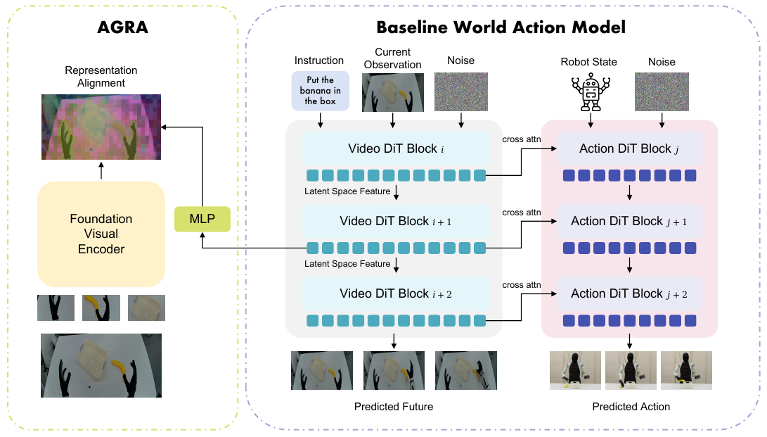 Video DiT blocks receive instruction, observation and noise; their features cross-attend into a separate Action DiT receiving state and noise. An MLP maps video features toward foundation-encoder representations.