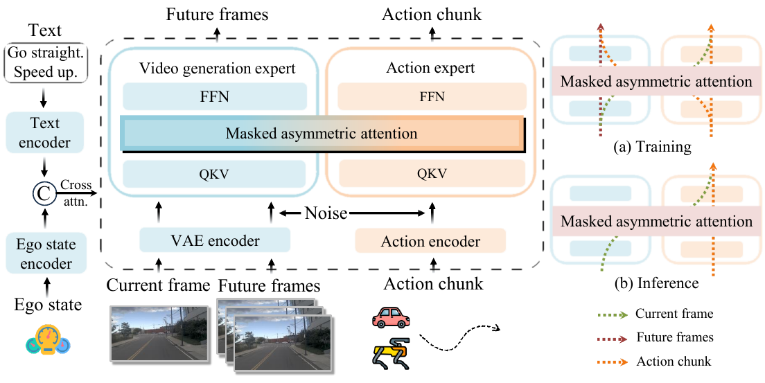Two specialist transformer branches receive encoded video and action tokens; text and ego-state conditioning enters from the left. Training and inference insets distinguish current-frame, future-frame and action paths.