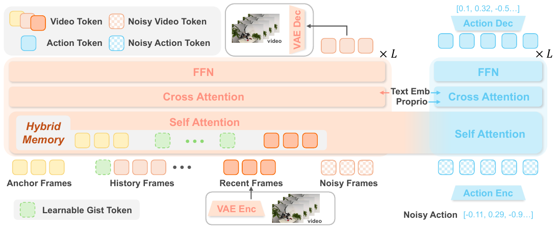 Two coupled transformer branches: orange video tokens and hybrid memory on the left, blue noisy action tokens and action decoding on the right, with text and proprioceptive conditioning.