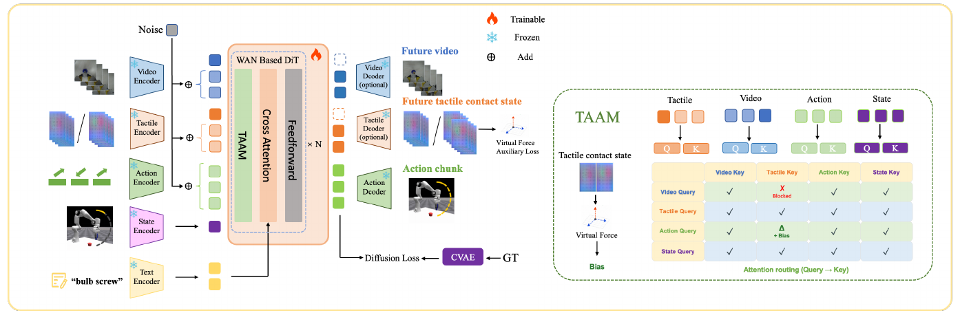 RGB, tactile, action, state and language inputs feed a Wan DiT with future video, tactile and action outputs. An attention grid blocks video queries from tactile keys and boosts action queries toward tactile keys.