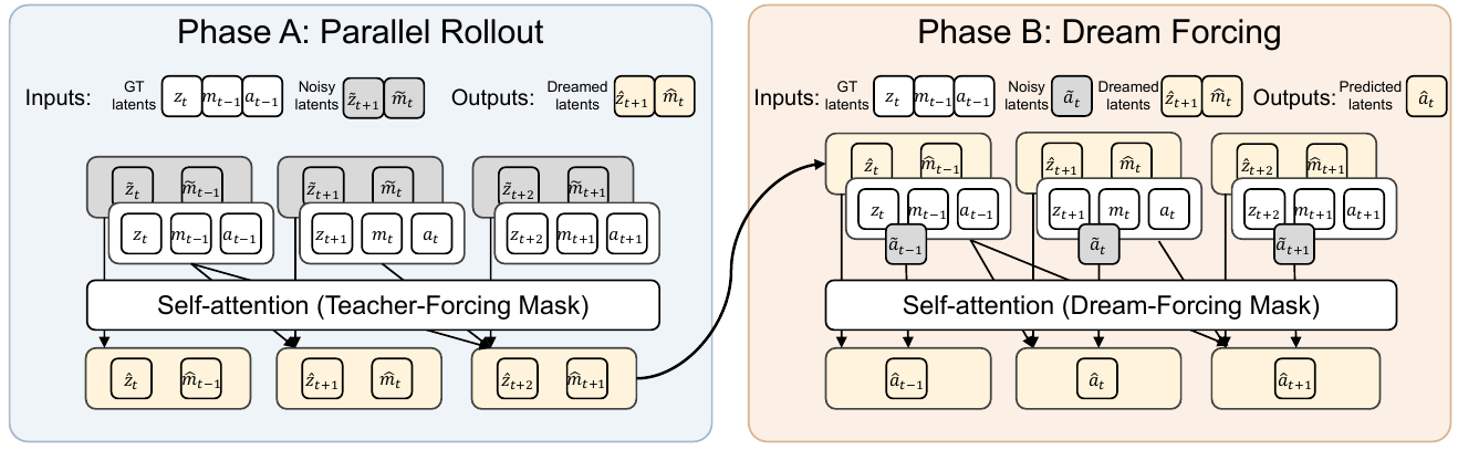 Two panels show Phase A producing pale-yellow dreamed video and motion latents, then an arrow carries them to Phase B, which predicts actions with a Dream-Forcing attention mask.