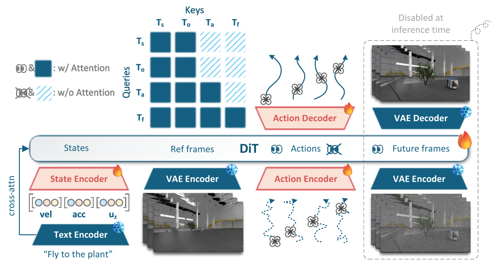 A shared DiT receives state, reference-image, action and future-image tokens. A query-by-key attention matrix blocks future-image keys from action queries. A dashed box marks future-video components disabled at inference.