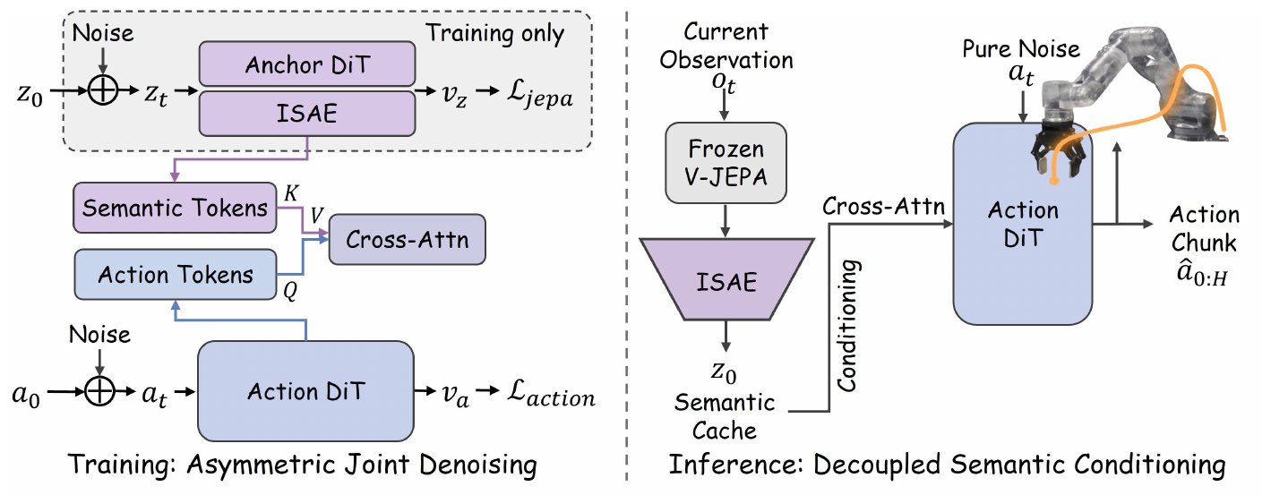 Two panels contrast noisy semantic and action training streams with an inference pipeline that encodes the current observation into a semantic cache for the Action DiT.