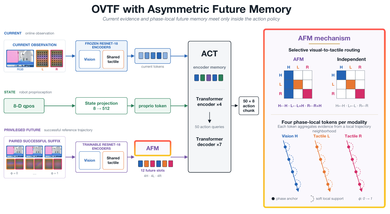 Three input paths—current RGB/tactile observations, 8-D robot state and a successful future suffix—feed ACT. An inset contrasts asymmetric and isolated modality-reading matrices and four phase anchors per modality.