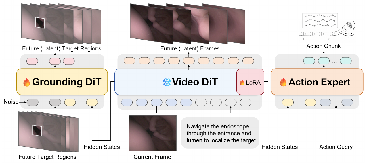 Video DiT in the center receives a current frame and instruction; its hidden states connect to a future-target Grounding DiT on the left and an action expert on the right.
