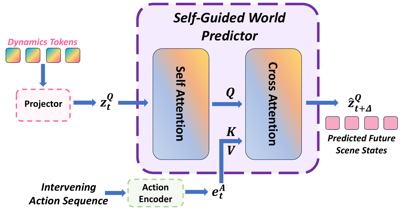 Projected dynamics states enter self-attention, then supply queries to cross-attention. The encoded intervening-action sequence supplies keys and values; the output is the predicted future dynamics representation.
