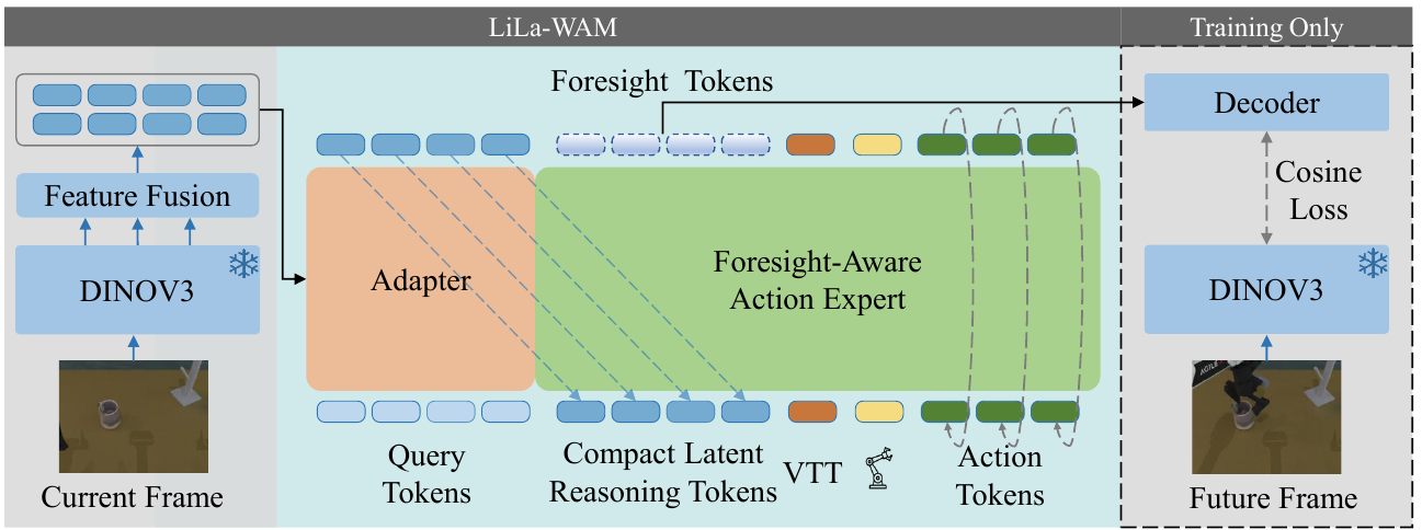 LiLa-WAM diagram: frozen DINOv3 current-frame features pass through fusion and a query adapter into an expert containing visual, VTT, proprioceptive and action tokens; foresight outputs feed a training-only decoder supervised by future-frame features.