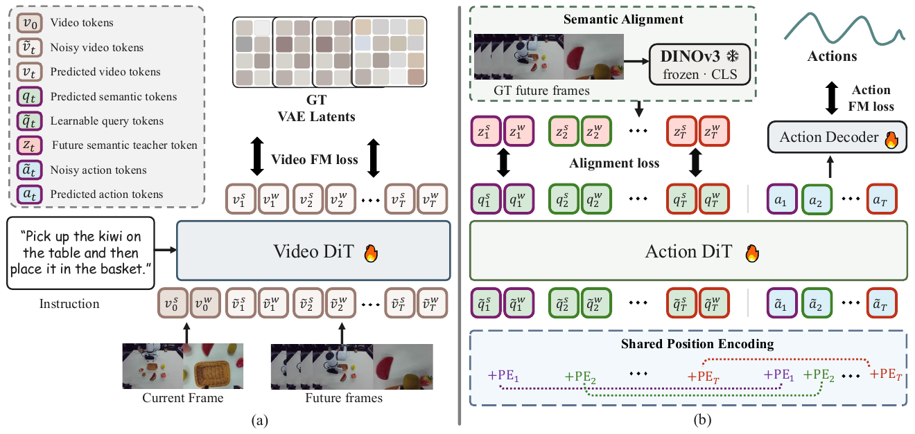 Video DiT and Action DiT with separate flow-matching losses, a frozen DINOv3 future-frame teacher, semantic query tokens and shared positional encodings.