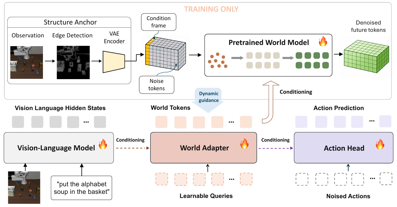 Training architecture with a bottom VLM–World Adapter–action-head path and an upper video denoiser conditioned by world tokens and an encoded edge map.