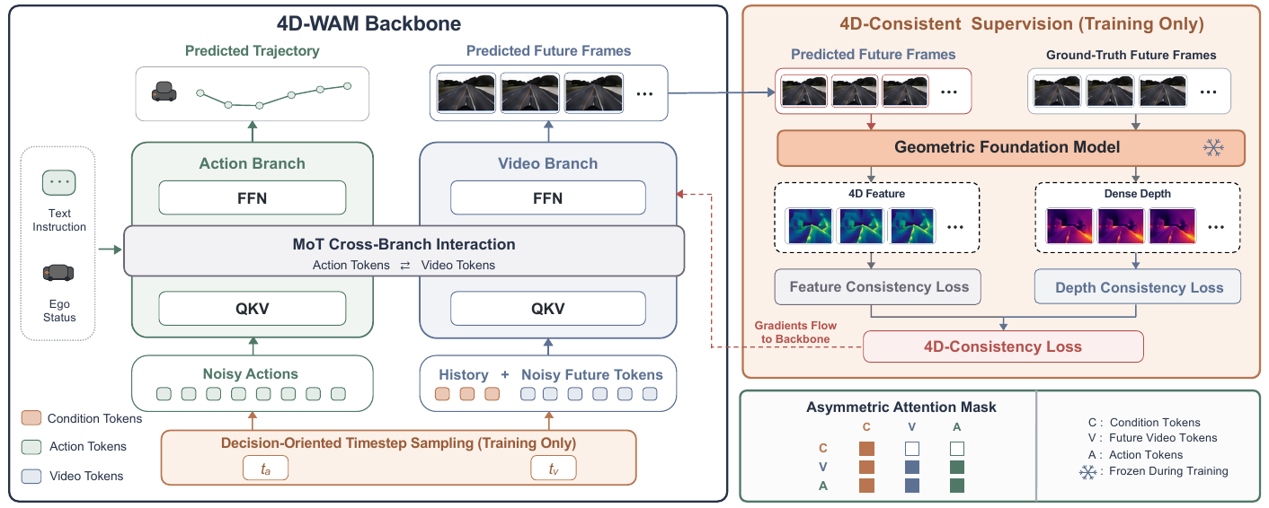 Separate action and video branches exchange attention representations. Predicted and recorded future frames enter a frozen geometric teacher, whose feature and depth losses send gradients back to the backbone. A three-group attention mask protects condition tokens.