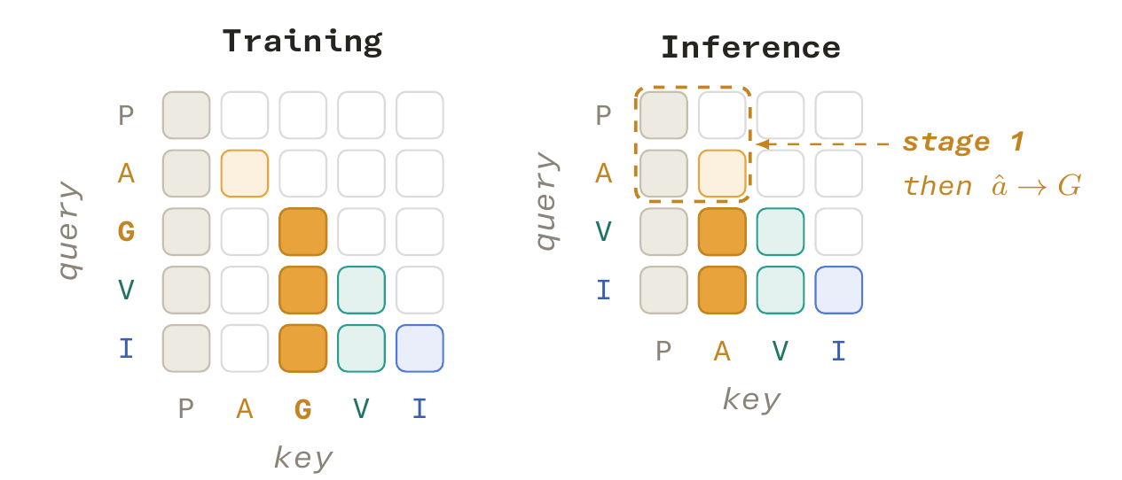Training and inference attention matrices with query rows and key columns; training isolates noisy action A from clean action G, and a dashed inference block marks action denoising.