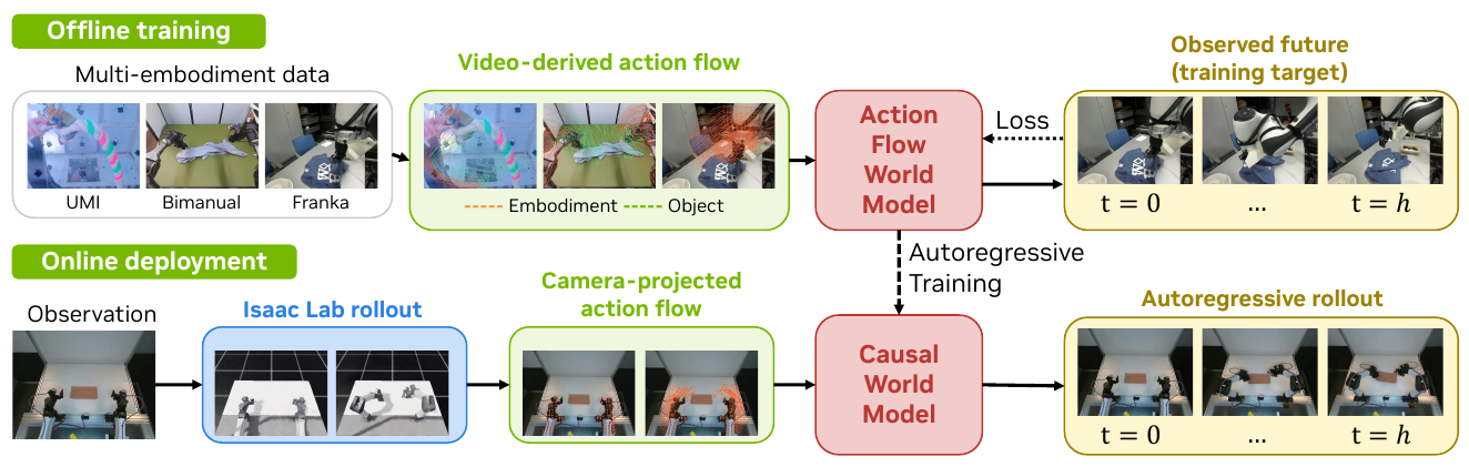 Two lanes connect multi-embodiment videos to offline flow-conditioned training, and an observed scene through Isaac Lab and projected action flow to online causal video rollout.
