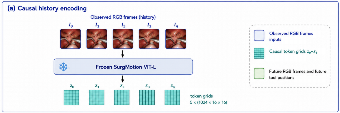 Five observed surgical frames labeled I0 through I4 pass through a frozen SurgMotion ViT-L encoder into five token grids, with the original color legend retained.