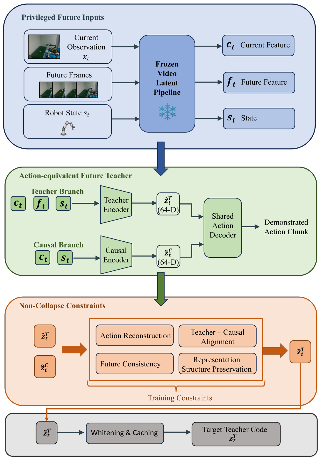 Vertical teacher diagram: frozen current/future features and robot state feed privileged and causal encoders, a shared action decoder, non-collapse constraints, then whitening and caching.
