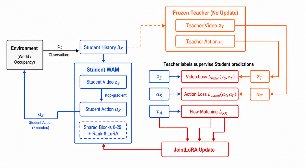 The student loop links environment observations, history, video, stop-gradient action generation and execution. Frozen Teacher Video z_T connects by an outer orange line to the a_T target box; Teacher Action a_T connects by an inner line to z_T. These reversed destinations conflict with the labeled video and action losses. A flow-matching box and JointLoRA update are also shown.