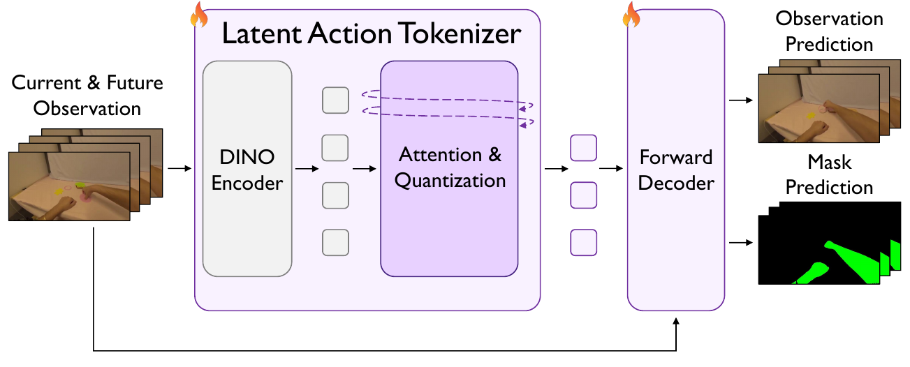An observation sequence enters a DINO encoder and attention/quantization module; a forward decoder predicts the next observation and a manipulation mask.