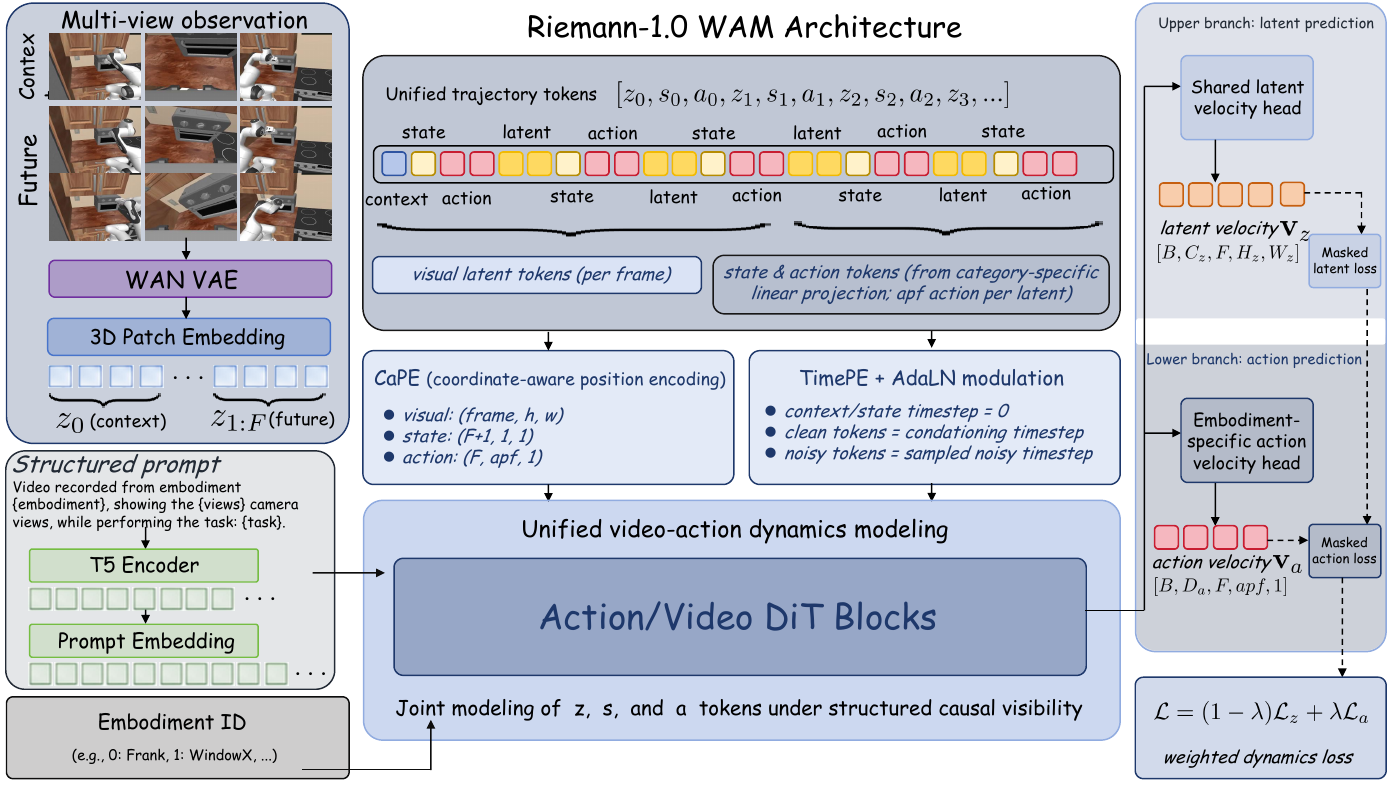 A multi-view camera encoder, structured text prompt, and embodiment ID feed a shared Action/Video DiT, with a shared visual-latent velocity head and an embodiment-specific action velocity head.