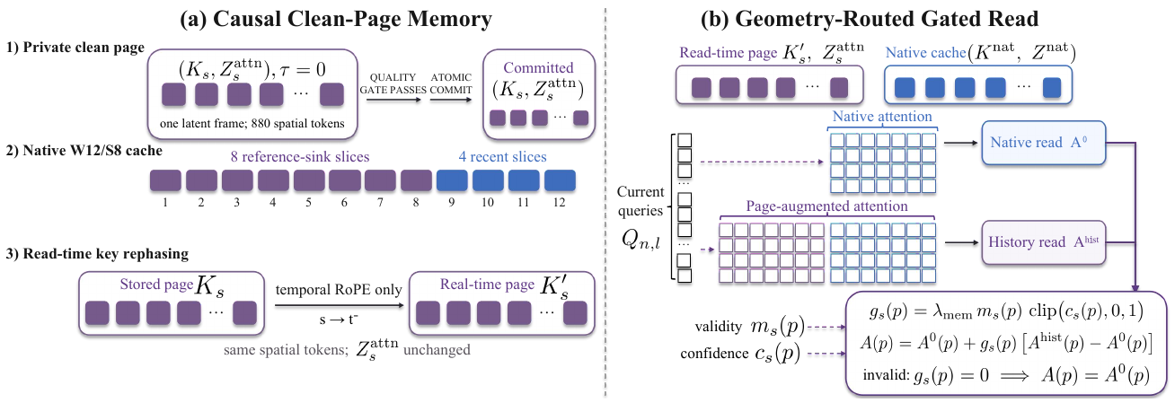 Two-panel appearance-memory diagram showing private clean-page commit, a twelve-slice native cache, temporal key rephasing and a confidence-gated blend of native and historical attention.