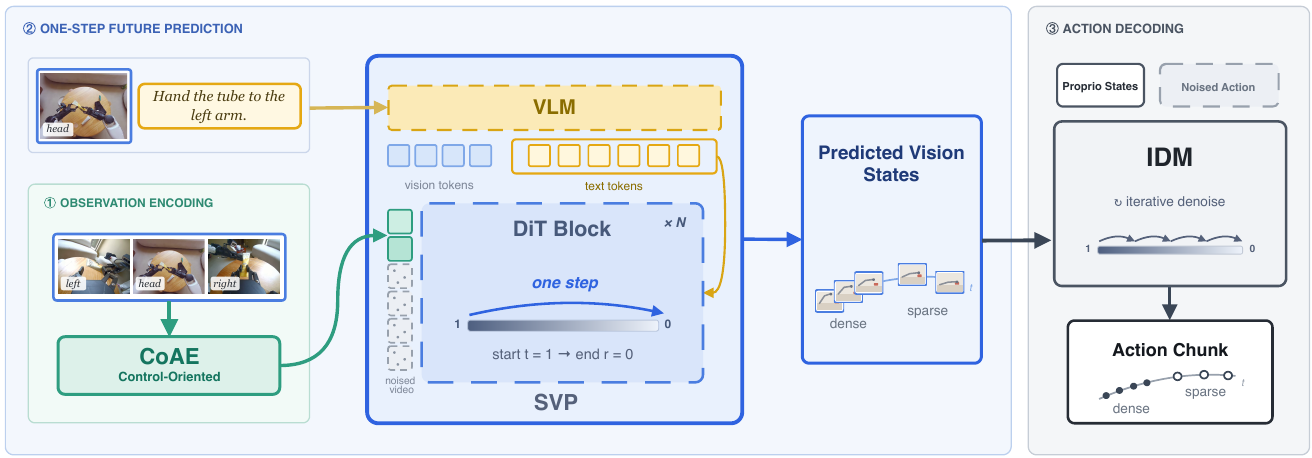 Three camera views enter CoAE; the head image and instruction enter a VLM. A DiT predicts dense and sparse visual states in one denoising pass, then a separate IDM iteratively produces an action chunk.