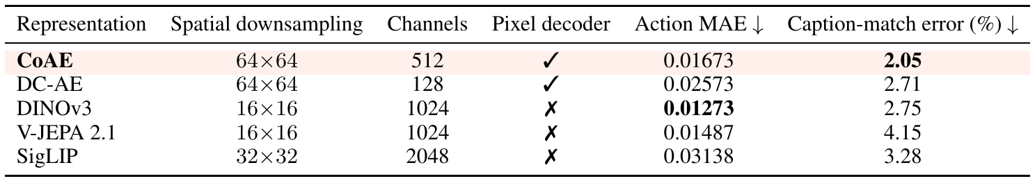 Five frozen visual representations are compared by downsampling, channel width, pixel decodability, action mean absolute error, and caption-match error; the CoAE row is highlighted.