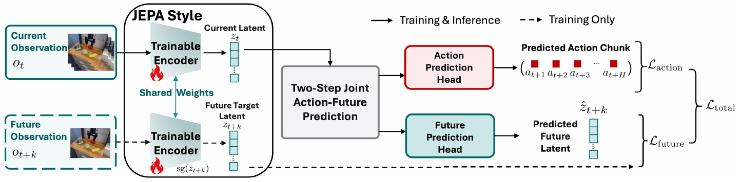 Current and future observations pass through shared encoder weights; current features feed joint action–future prediction, while the stopped future latent supplies a training target.