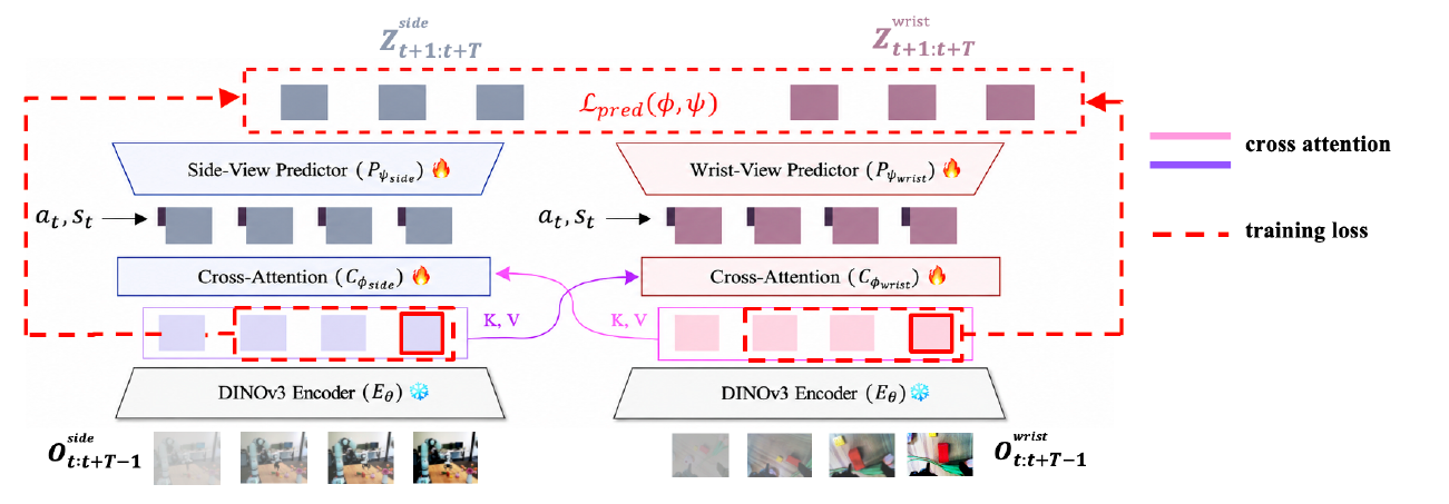 Two frozen DINOv3 encoders feed cross-attention blocks with crossed key/value connections, then separate action/state-conditioned predictors and a dashed dual-view training-loss path.