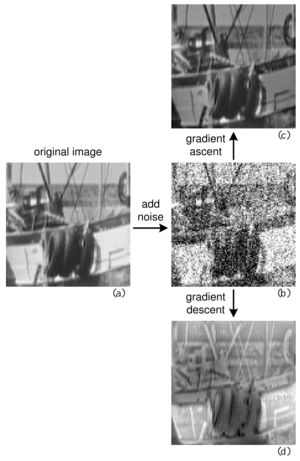 An original Boat patch points right to a noisy patch; upward gradient ascent yields recognizable structure and downward gradient descent produces contrast reversals.