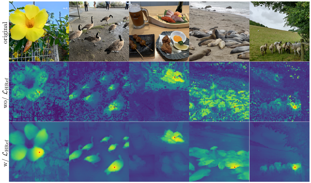 Five image columns show a flower, geese, food, seals and sheep, followed by noisy pre-refinement and cleaner post-refinement patch cosine-similarity maps.