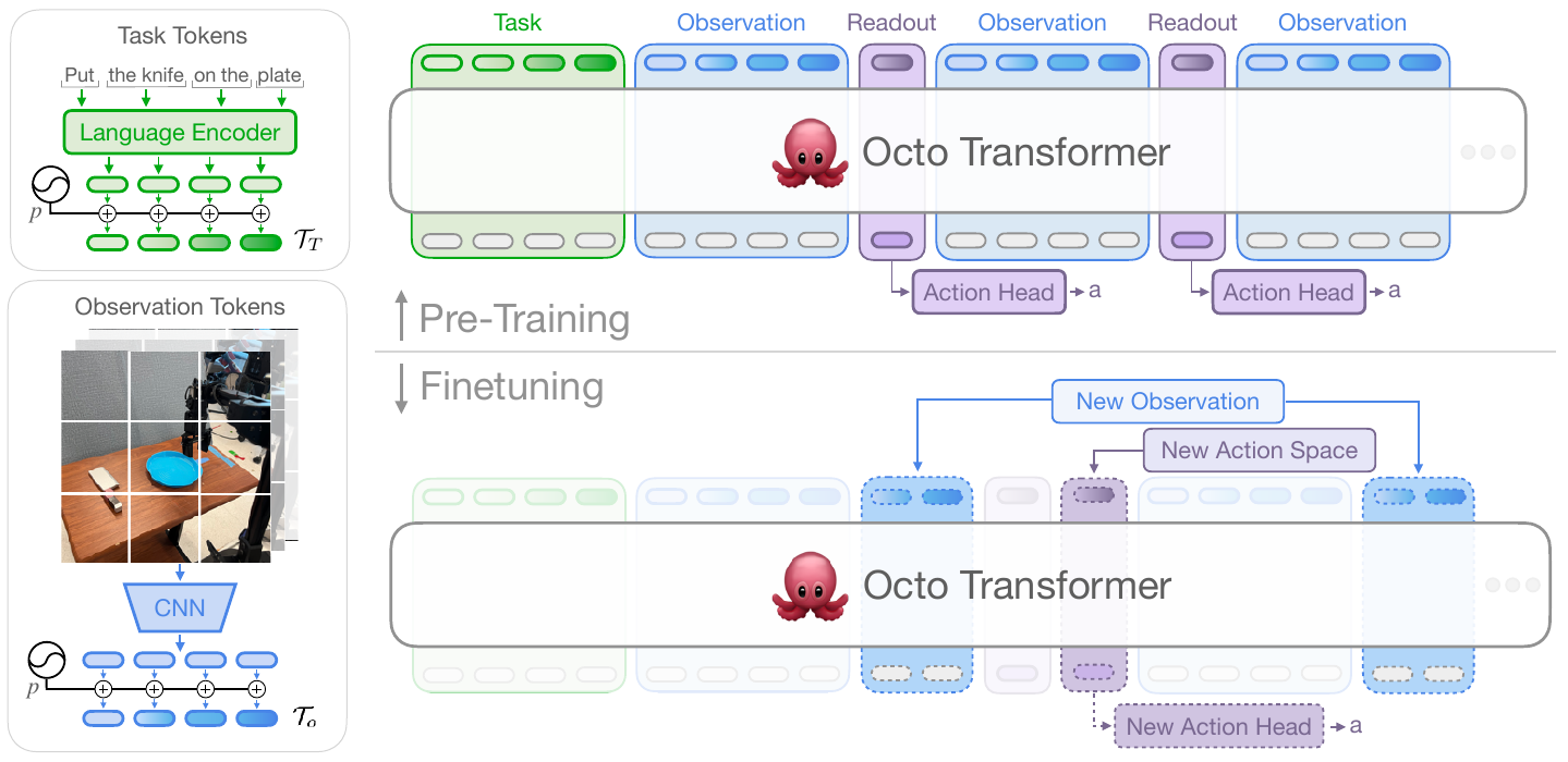 Architecture diagram with green task tokens, blue observation tokens, purple readouts and action heads, followed by a finetuning layout adding observation and action interfaces.