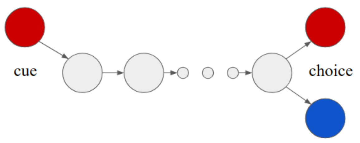 A red initial cue leads through a chain of grey states to a choice between red and blue endpoints.