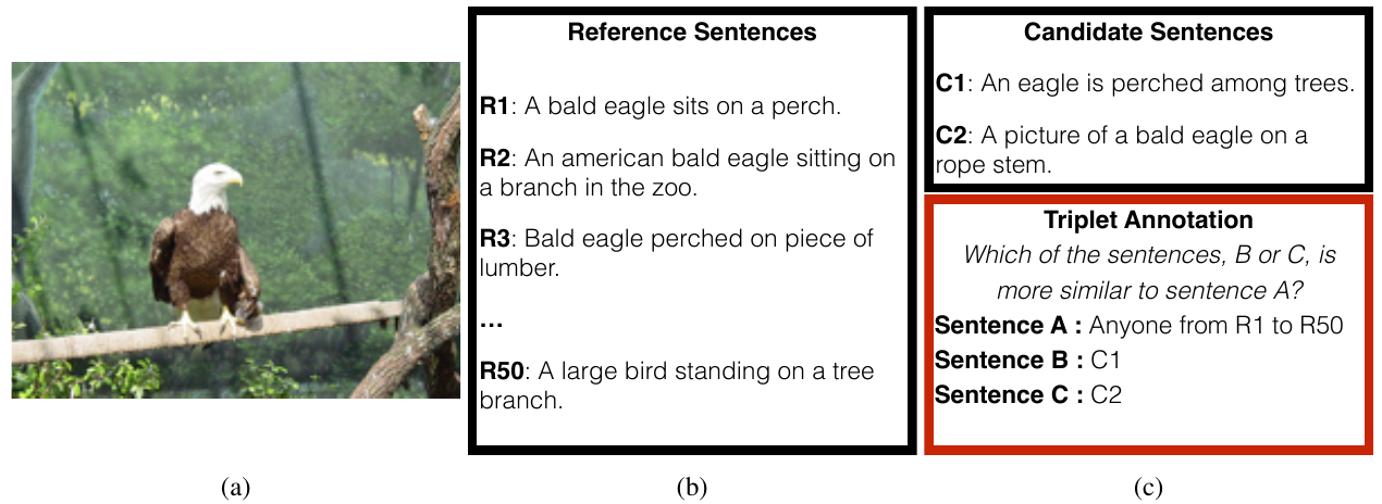 An eagle photograph, a list of reference descriptions R1 through R50, and two candidate captions connected conceptually by a triplet annotation box assigning a reference to A and the candidates to B and C.